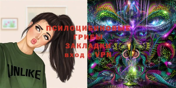 гашик Арсеньев