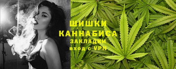 гашик Арсеньев
