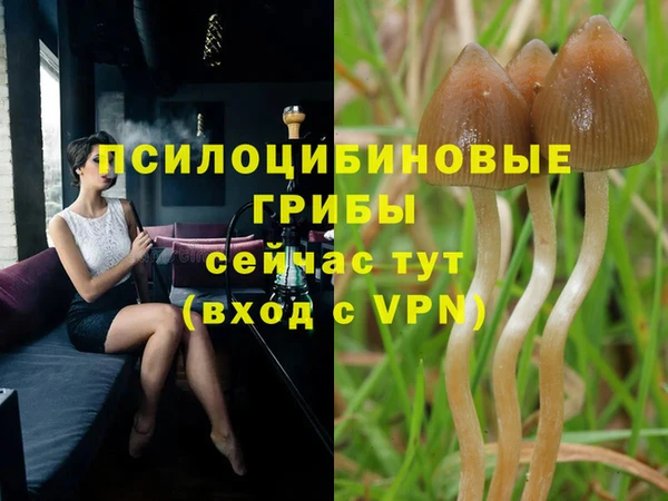 гашик Арсеньев