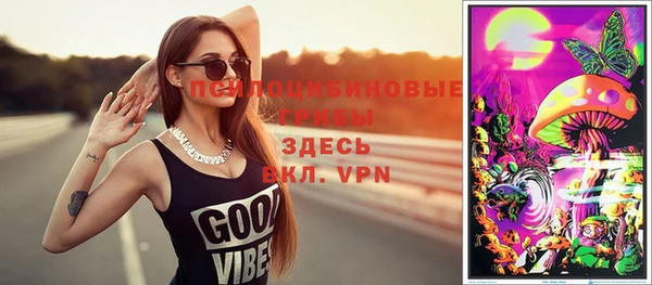 ешки Аркадак
