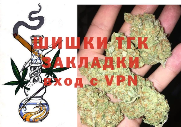 ешки Аркадак