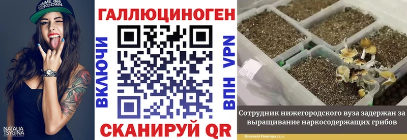 Купить закладки  Нефтегорск  Галлюциногенные грибы ЛСД 