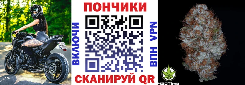 Купить  Нефтегорск  Бошки Шишки план 
